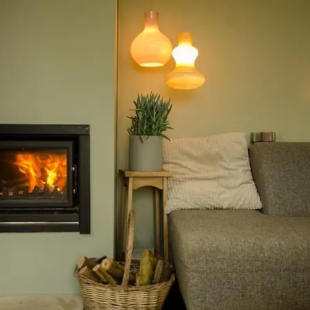 Holland House Big Garden Pool Fireplace Nijmegen For 6 People Casa de Férias Ewijk