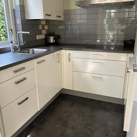 Holland House Big Garden Pool Fireplace Nijmegen For 6 People Holiday home Ewijk