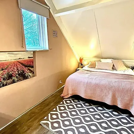 Holland House Big Garden Pool Fireplace Nijmegen For 6 People Casa de Férias Ewijk